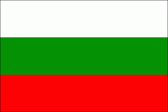 В Болгарии проходят местные выборы