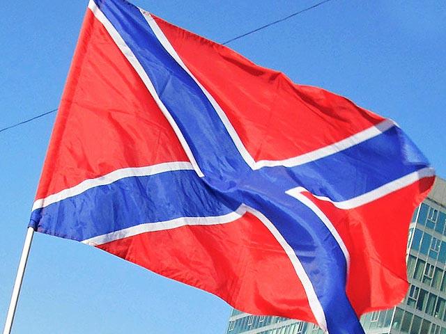 В Николаеве взяты под стражу лица, которые устанавливали флаги Новороссии в городе