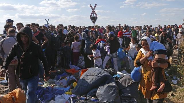 Евросоюз выделил 350 млн евро финпомощи беженцам из Сирии