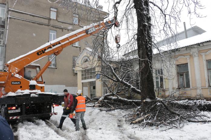 Через снігопад у Харківській області загинула жінка