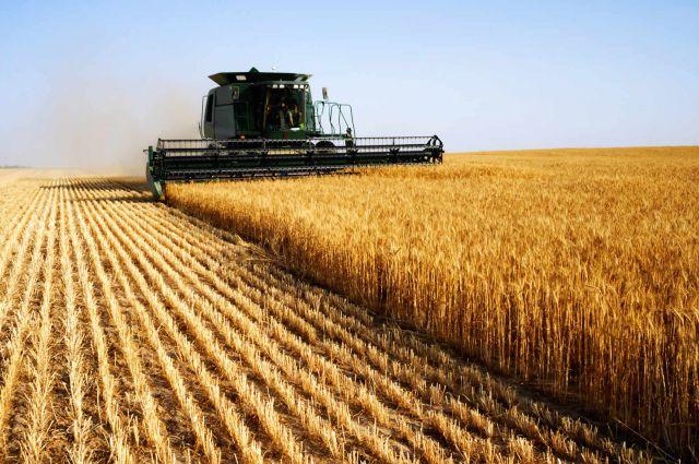 Российских инвесторов в украинское сельское хозяйство не пустим — Павленко