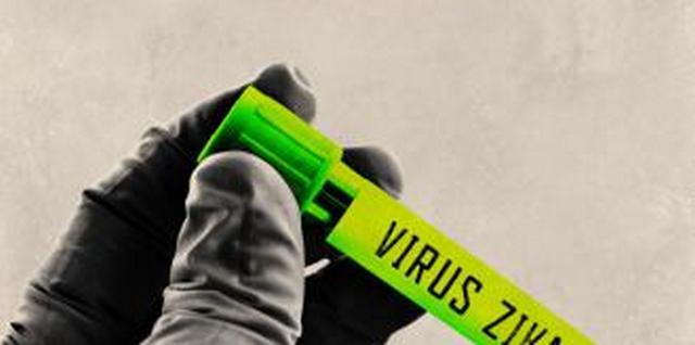 В США подтвержден первый случай передачи вируса Зика половым путем