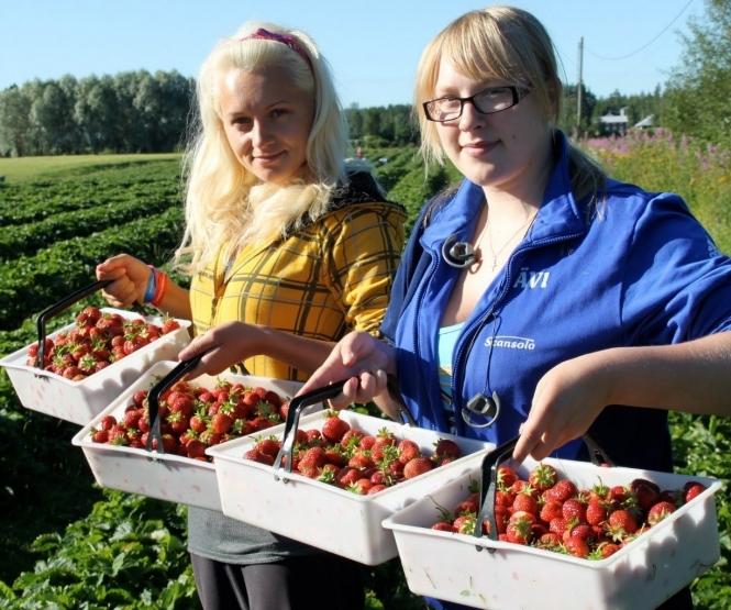 Еврокомиссия прогнозирует рост количества украинских трудовых мигрантов в Польше