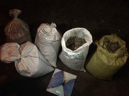 В Ровно задержали двух жителей за попытку сбыта почти 100 кг янтаря