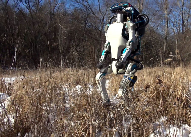 В США разработчики поиздевались над своим новым роботом (ВИДЕО)