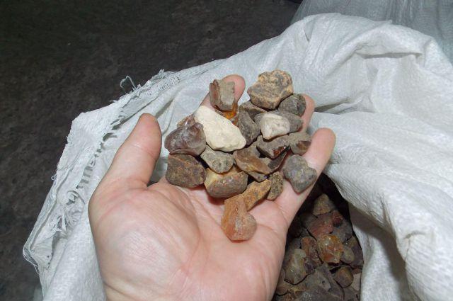 На Житомирщине задержали семерых нелегальных добытчиков янтаря