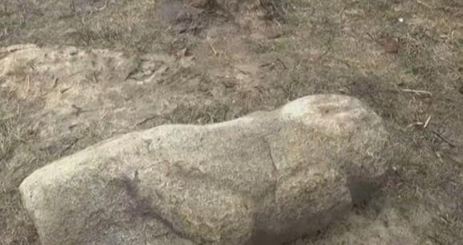 В мусоре в Кировоградской области обнаружена скифская каменная статуя
