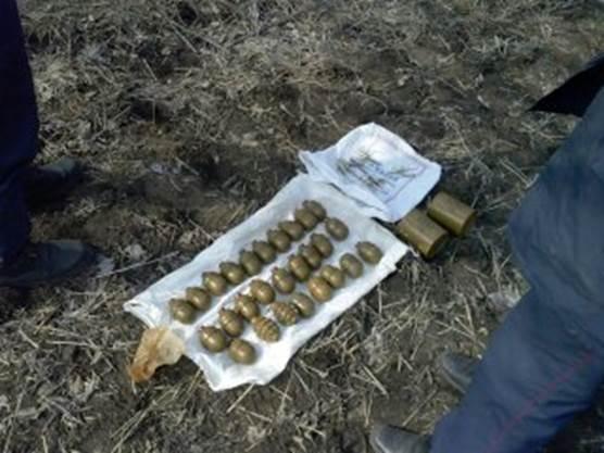 На Днепропетровщине нашли лесной тайник с 27 гранатами (ФОТО)