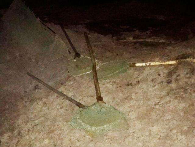 В Житомирской области задержали троих копателей янтаря