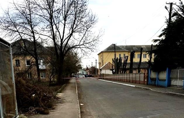 В Мукачево возле школы произошла стрельба, на месте происшествия обнаружена граната