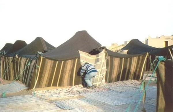 В Катаре фанатов ЧМ по футболу поселят в бедуинских палатках посреди пустыни