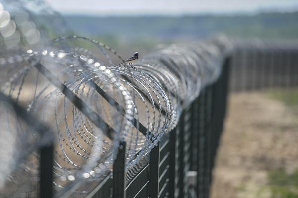 Латвия построила первые 3 км забора на границе с Россией