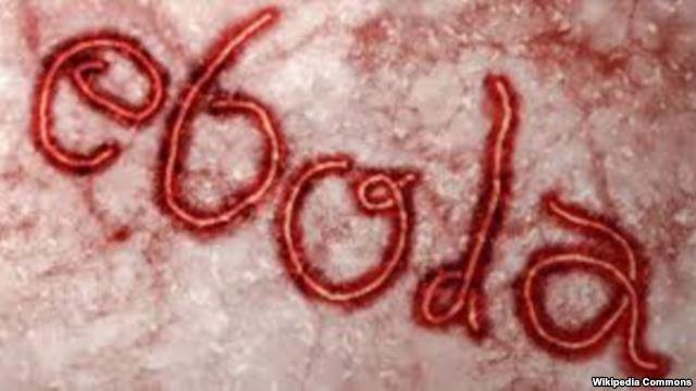 Эбола больше не является международной угрозой — ВОЗ