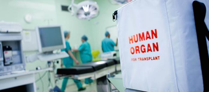 Рада продвинулась в вопросе легализации трансплантации органов от умерших