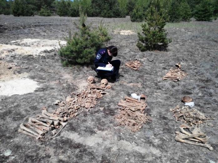 Під Києвом знайшли поховання з німецькими жетонами часів Другої світової війни (ФОТО)