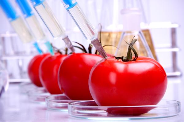 Ученые: Продукты с ГМО безопасны для здоровья