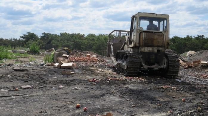 В Крыму уничтожили 15 тонн фруктов из Европы (ФОТО)