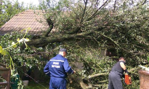 Негода на Івано-Франківщині забрала життя людини і знеструмила 45 населених пунктів