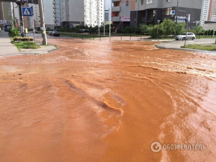 Одну из улиц Киева затопило ржавой водой (ФОТО)