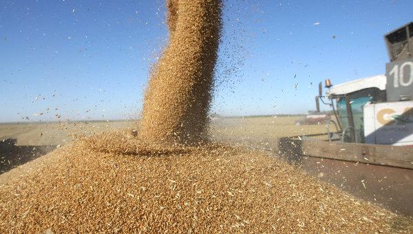 Україна встановила новий рекорд експорту зерна (ІНФОГРАФІКА)