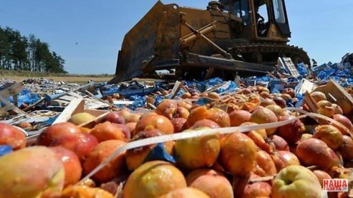 В РФ раздавили бульдозером тонны украинской черешни и польских яблок