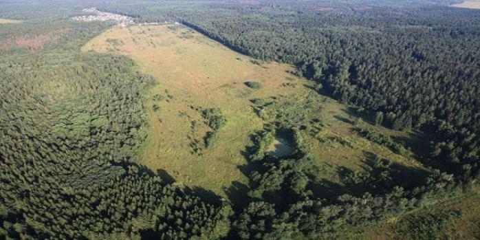 Гройсман доручив відстежувати незаконну вирубку лісів за допомогою аерофотозйомки