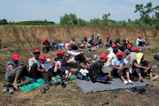 Мигранты объявили голодовку на границе Сербии и Венгрии (ФОТО)