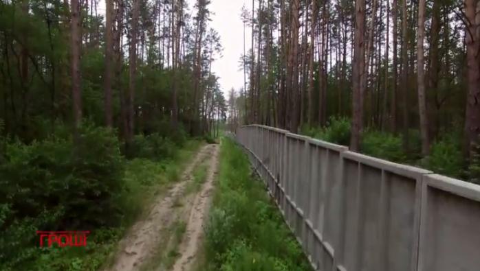 Прокуратура провалила возвращение государству лесов Пшонки и Арбузова — расследование