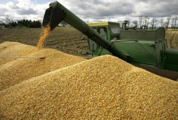 ГПУ інкримінує групі чиновників «зернову змову» на 19 млн грн