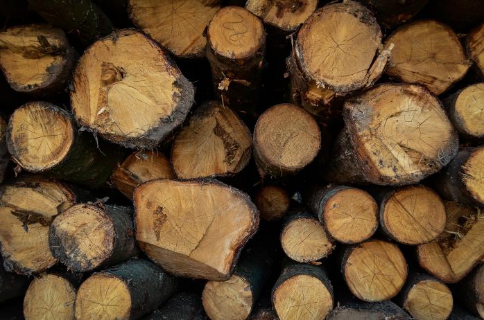 Суд оставил под арестом завод семьи экс-главы Госагентства лесных ресурсов