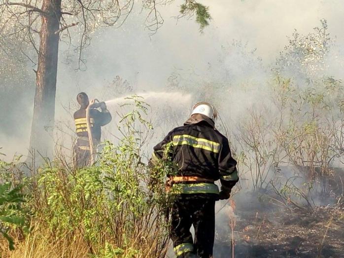 Рятувальники локалізували пожежу на Трухановому острові в Києві (ФОТО)