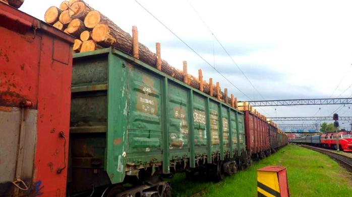 Росіяни намагалися вивезти 17 вагонів лісу з України до Чехії