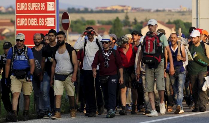 Венгры отпугивают мигрантов чучелами (ФОТО)
