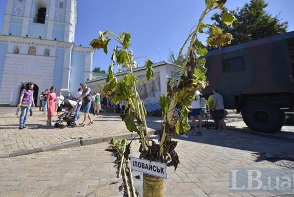 Два роки «Іловайську»: родичі загиблих ідуть до генпрокурора Луценка (ФОТО)