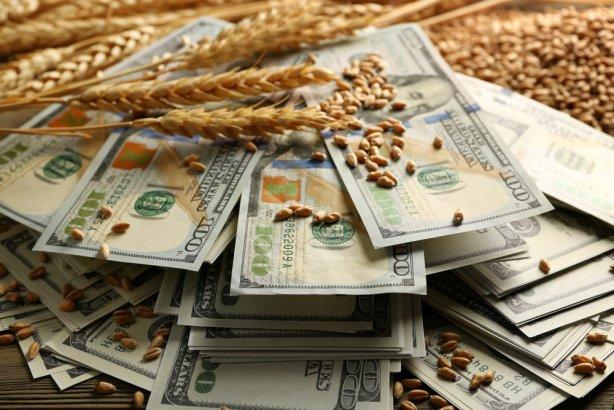 Нацакадемия аграрных наук осуществила финансовые нарушения на 421 млн грн
