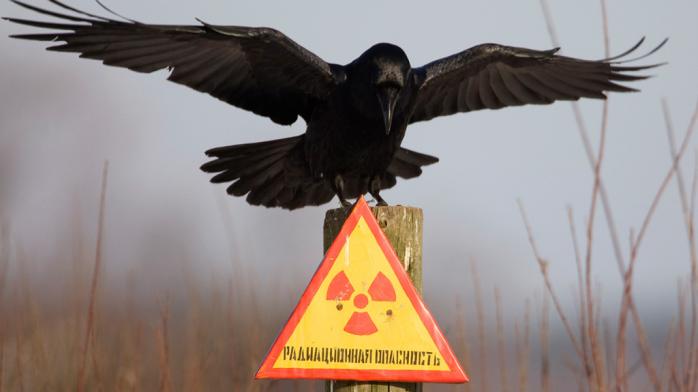 Україна та НАТО ліквідують радіоактивний могильник на Житомирщині