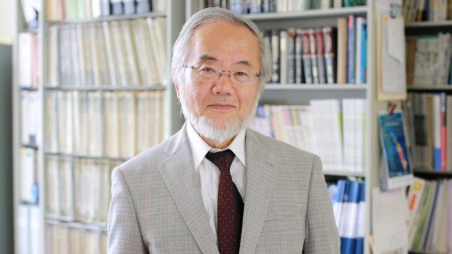 Нобеля з медицини отримав японський біолог Йосінорі Осумі