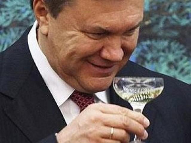 Євросуд зобов’язав Україну сплатити юридичні витрати Януковича (ДОКУМЕНТ)