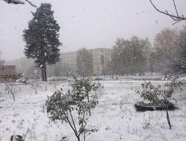 Под Киевом пошел снег (ФОТО)
