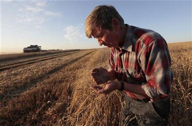 Американская компания профинансирует украинских фермеров на 50 млн долларов