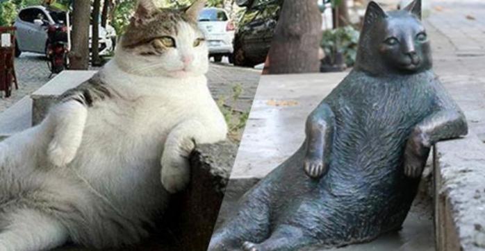 В Стамбуле исчез памятник задумчивому коту (ФОТО)