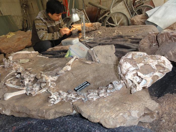 В Китае палеонтологи обнаружили останки пернатого динозавра (ФОТО)