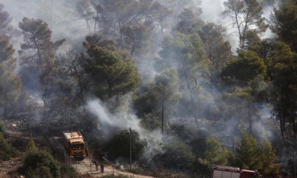 Масштабные пожары в Израиле ликвидированы, по подозрению в поджогах задержаны 35 человек