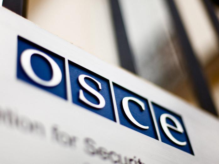 В ОБСЕ назвали Украину рекордсменкой по количеству нарушений прав журналистов