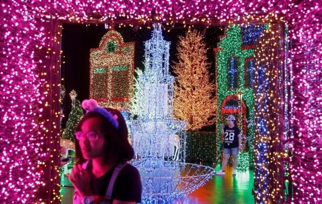 У Сінгапурі відкрили унікальний різдвяний парк (ФОТО)