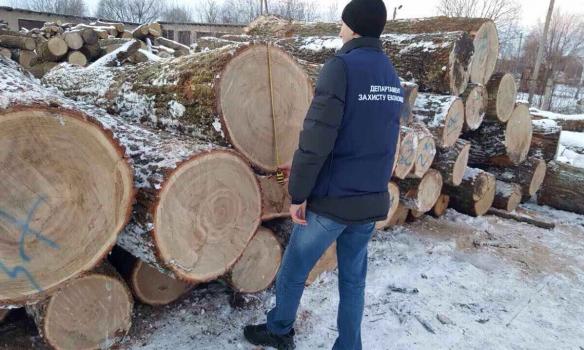 На Житомирщині «чорні лісоруби» знищили дубів цінних порід на 1,5 млн грн (ФОТО)