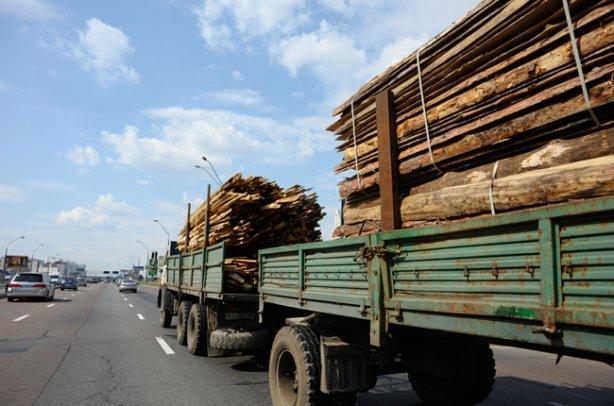 В Украине на 10 лет запретили вывоз деловой древесины