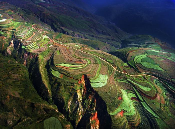 Рисовые поля в Китае. Фото SkyPixel