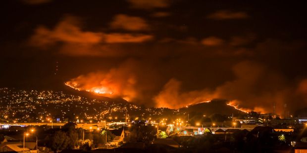 Фото масштабных пожаров в Новой Зеландии / УН
