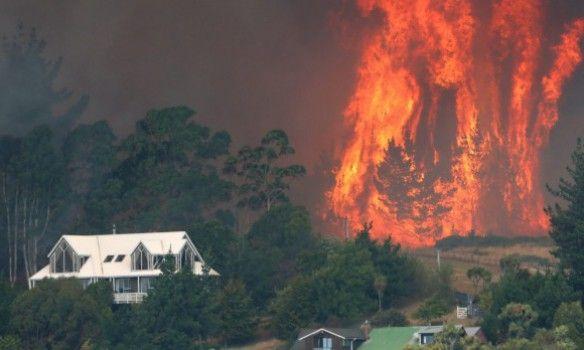 В Новой Зеландии бушуют лесные пожары, есть погибшие (ФОТО, ВИДЕО)